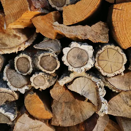 Quinta Da Retorta Σπίτι διακοπών Pinhel